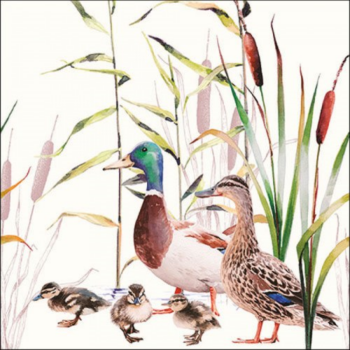 Ambiente Szalvta papr 20db-os Ducks Couple