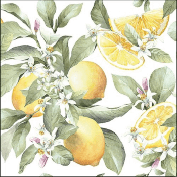Ambiente Szalvta papr 20db-os Limoni