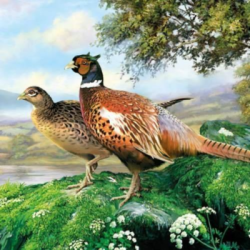  Ambiente Szalvta papr 20db-os Pheasant