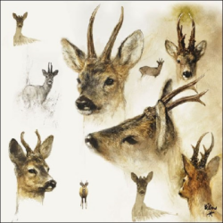  Ambiente Szalvta papr 20db-os Portraits of Deer
