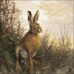  Ambiente Szalvta papr 20db-os Portrait of Hare