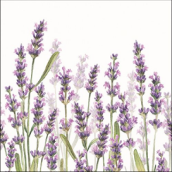  Ambiente Szalvta papr 20db-os Lavender Shade