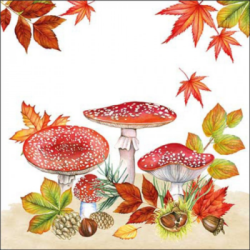  Ambiente Szalvta papr 20db-os Fly Agaric Group