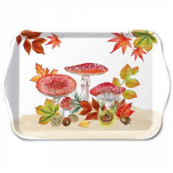  Ambiente Tlca kicsi Fly Agaric Group