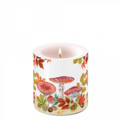  Ambiente Gyertya Fly Agaric Group tvilgts kicsi