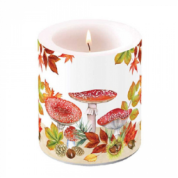  Ambiente Gyertya Fly Agaric Group tvilgts kzepes
