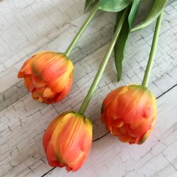  Kreatv Tulipn szlas telt virg narancssrga leth