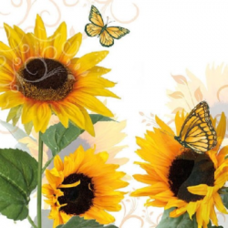  Ambiente Szalvéta papír 20db-os Sunny Butterfly
