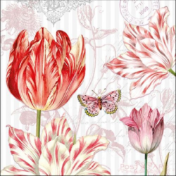  Ambiente Szalvéta papír 20db-os Tulips Postcards