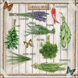  Ambiente Szalvta papr 20db-os Kitchen Herbs