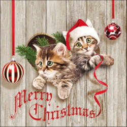  Ambiente Karcsonyi szalvta papr 20db-os Curious Kittens
