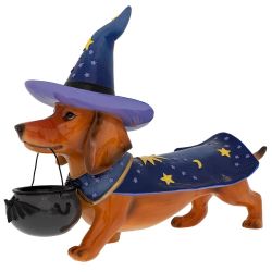  Kreatv Halloweeni tacsk jelmezben