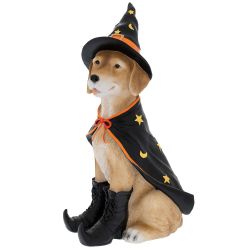  Kreatv Halloweeni kutya jelmezben s fekete cipben