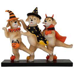  Kreatv Halloweeni kutyk jelmezben